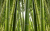 Одеяло Hefel Pure Bamboo GD